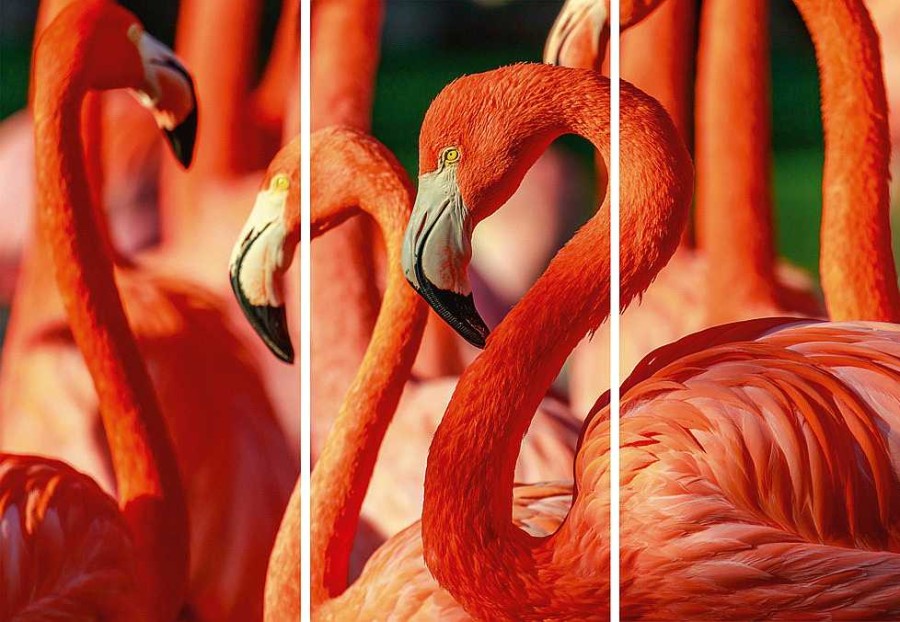 Sonstige Akustikbild Flamingos | Akustikbilder