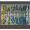 WIEDEMANN Acrylglasbild David Koster | Acrylbilder