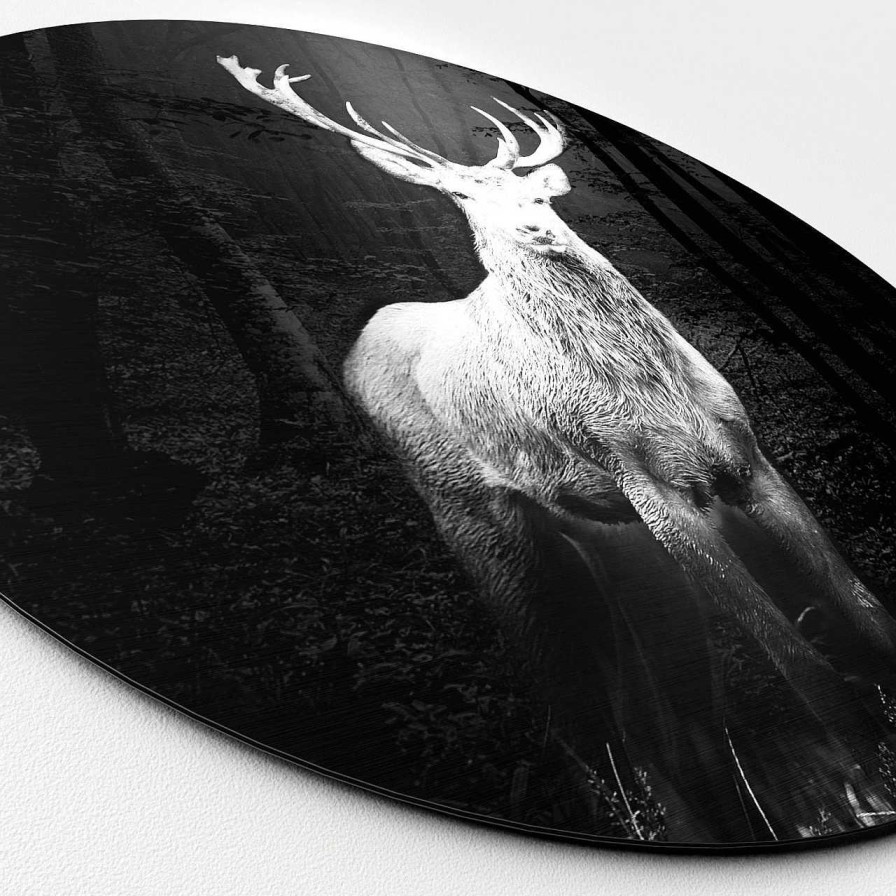 PRO ART Aludibondbild Grey Deer Head I | Metallbilder